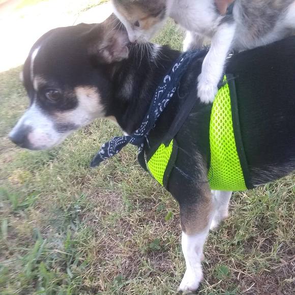 Meet your Posher, Rhonda - Picture 1 of 1